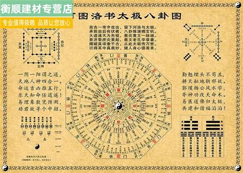 木生金|五行（对万事万物的取象比类）